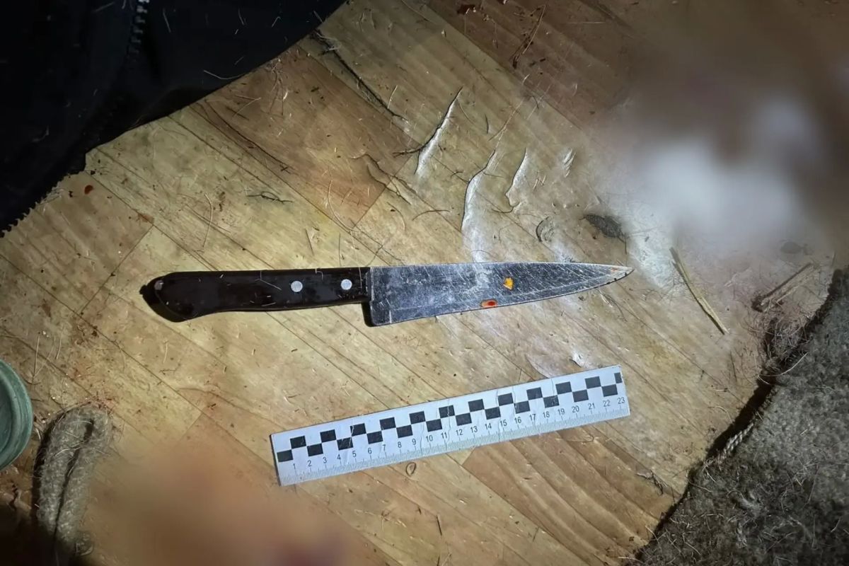 Жительница Тазовского района предстанет перед судом по обвинению в совершении особо тяжкого преступления