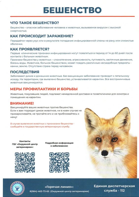 Внимание, бешенство!. С начала 2026 года на Ямале зарегистрировано три случая бешенства