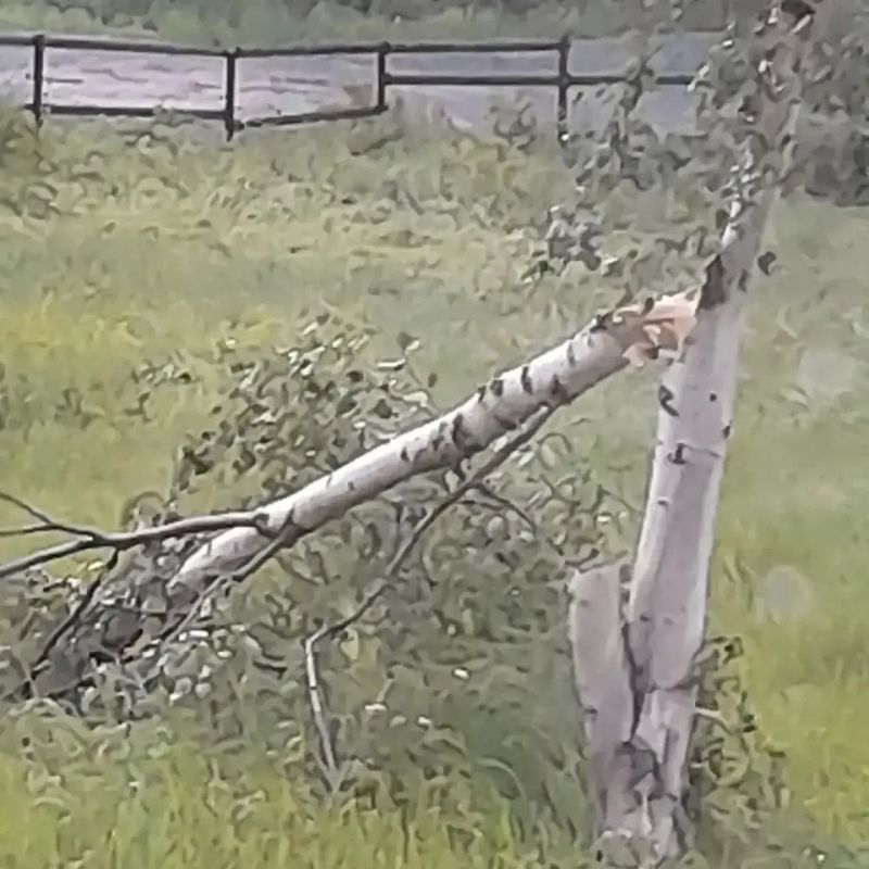 В Шурышкарском районе ночью бушевала стихия В Шурышкарском районе ночью бушевала стихия