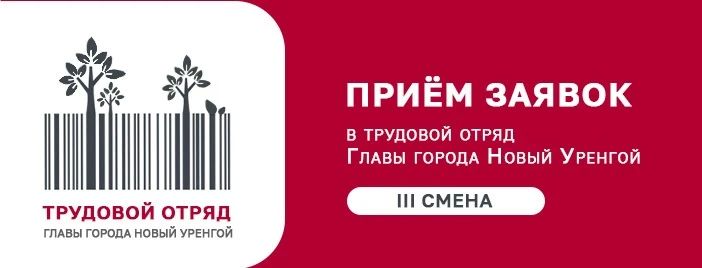 Через неделю стартует запись в Трудовой отряд главы города на III смену
