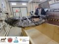 �������������� ������ ���� �� �������� ��������� �� �������� � �����-���������
