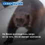 �� ����� ����� ����������� ����� ��������, �� �������� ���������� ����������� ������ ���������� �� ������