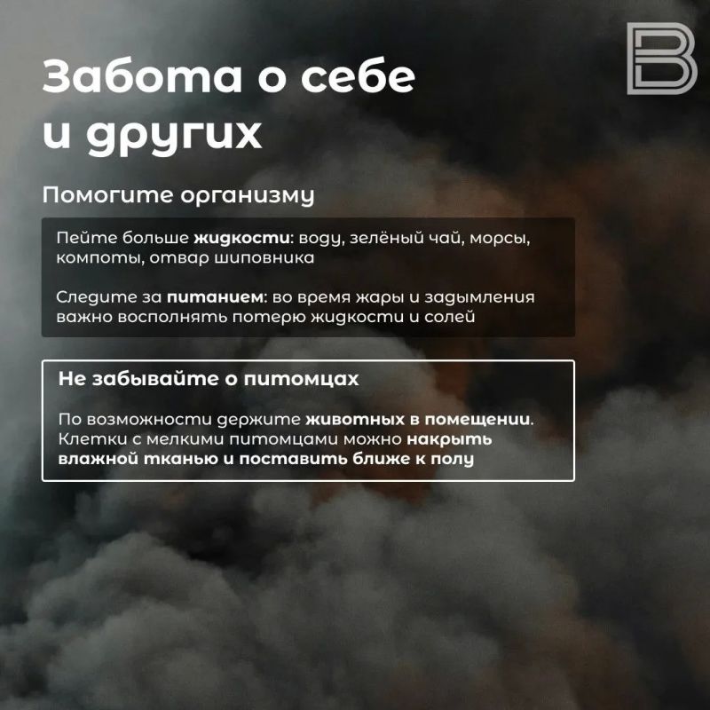 Пока природа бушует: как защититься от задымления Пока природа бушует: как защититься от задымления