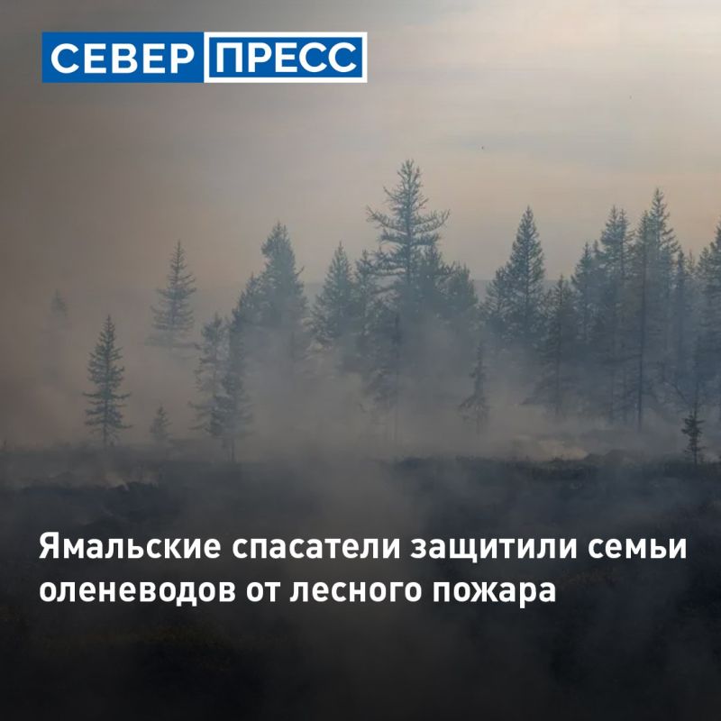 Ямальские спасатели защитили стойбище оленеводов от лесного пожара