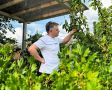 Как успешно посадить экзотические культуры: советы для дачников