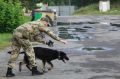 В Тюмени прошел чемпионат Уральского округа Росгвардии по многоборью кинологов