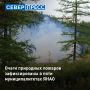 На Ямале по состоянию на утро 2 июля действуют 72 природных пожара, сообщили в департаменте гражданской защиты ЯНАО