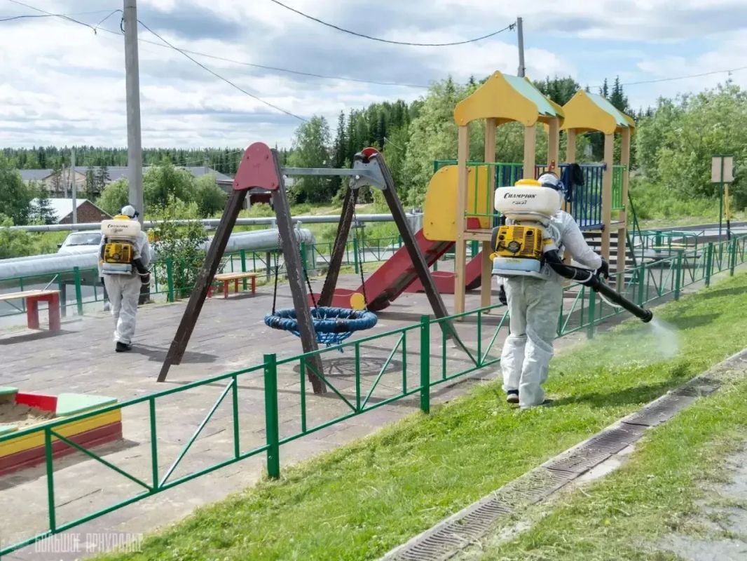 В Приуральском районе начали обработку общественных пространств от гнуса В Приуральском районе начали обработку общественных пространств от гнуса