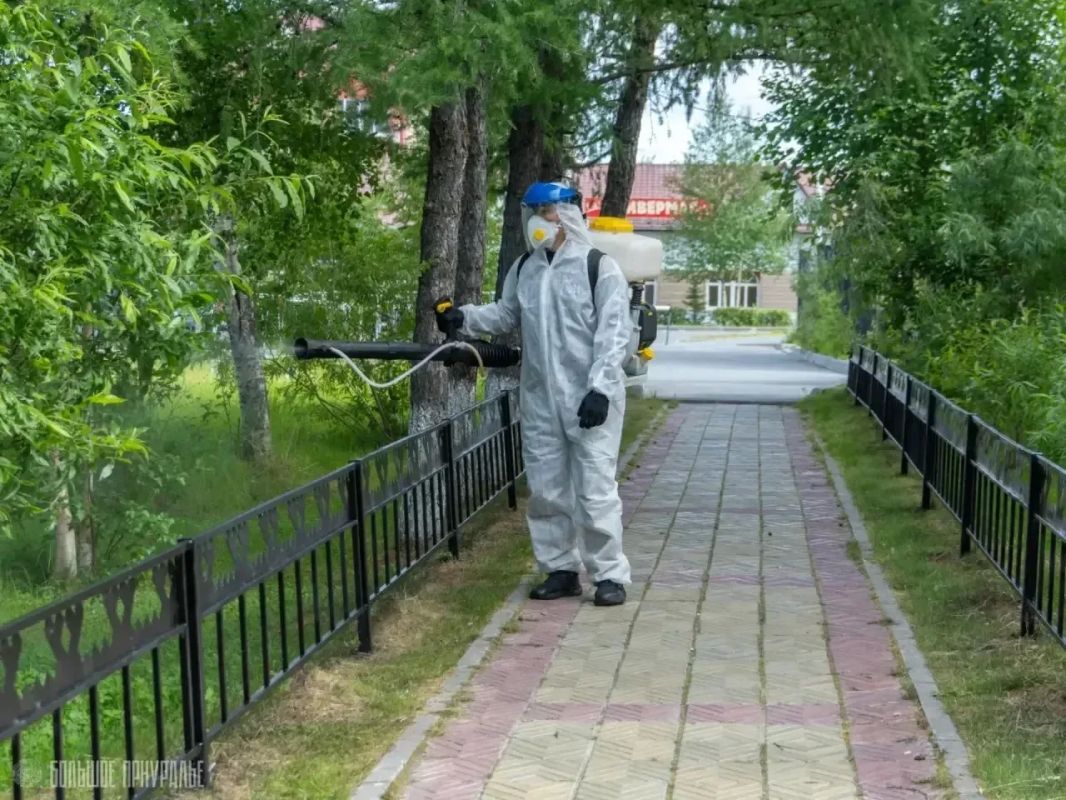 В Приуральском районе начали обработку общественных пространств от гнуса В Приуральском районе начали обработку общественных пространств от гнуса