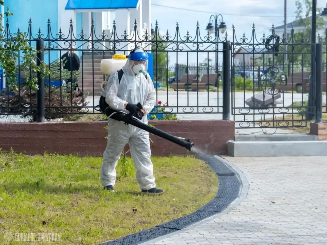 В Приуральском районе начали обработку общественных пространств от гнуса В Приуральском районе начали обработку общественных пространств от гнуса