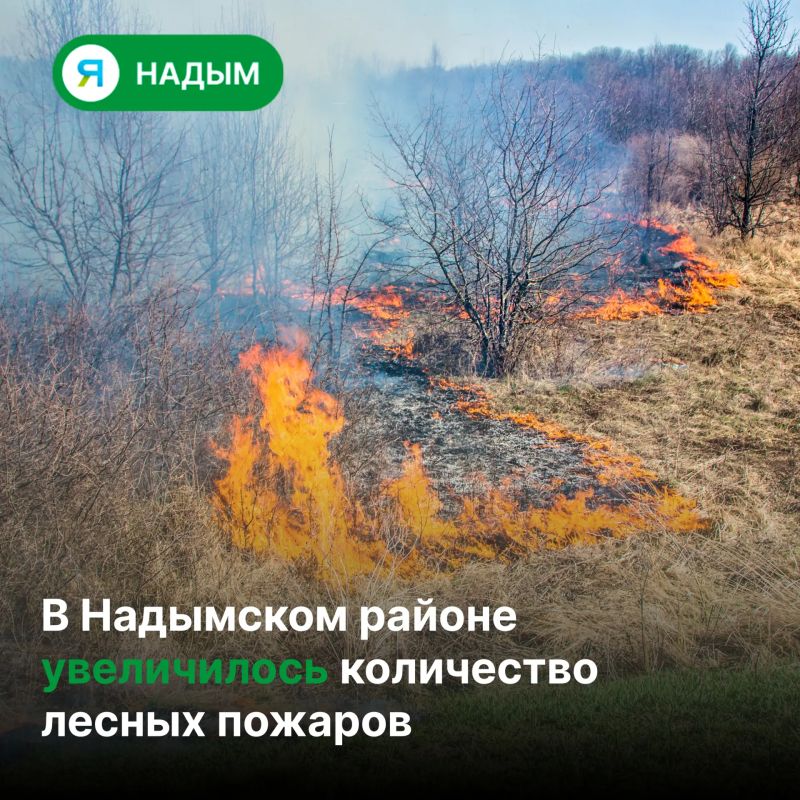 На территории Надымского района зафиксировано восемь природных пожаров