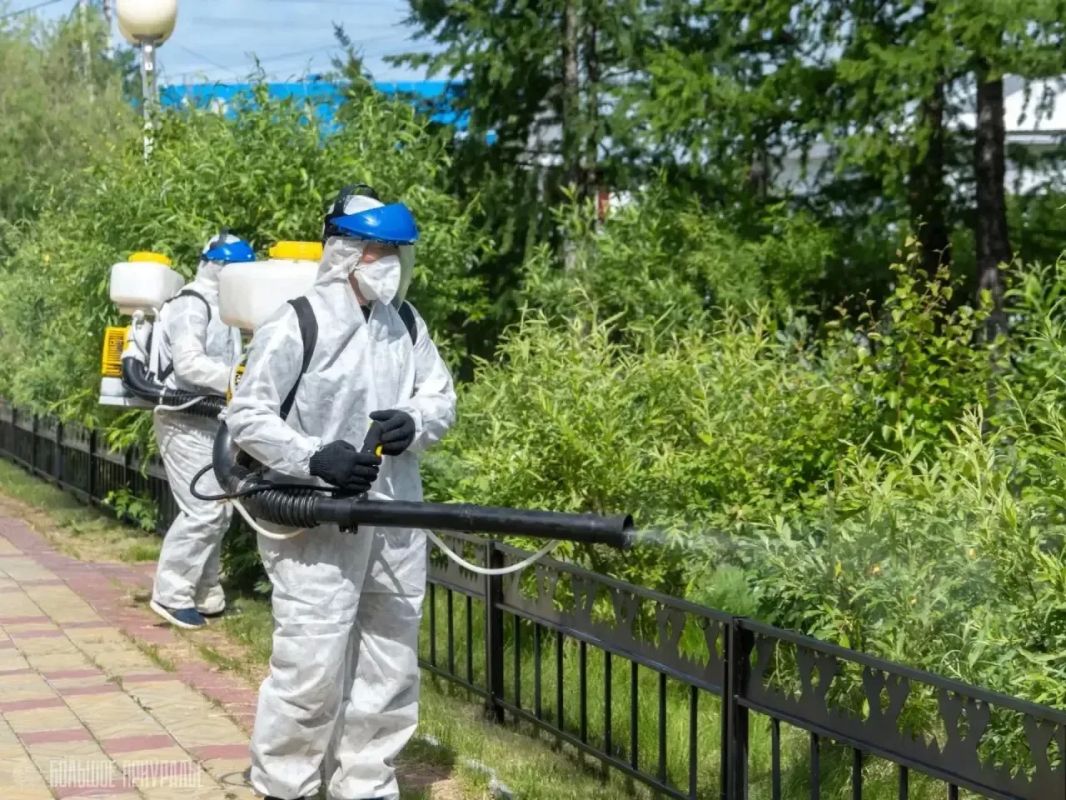 В Приуральском районе начали обработку общественных пространств от гнуса В Приуральском районе начали обработку общественных пространств от гнуса