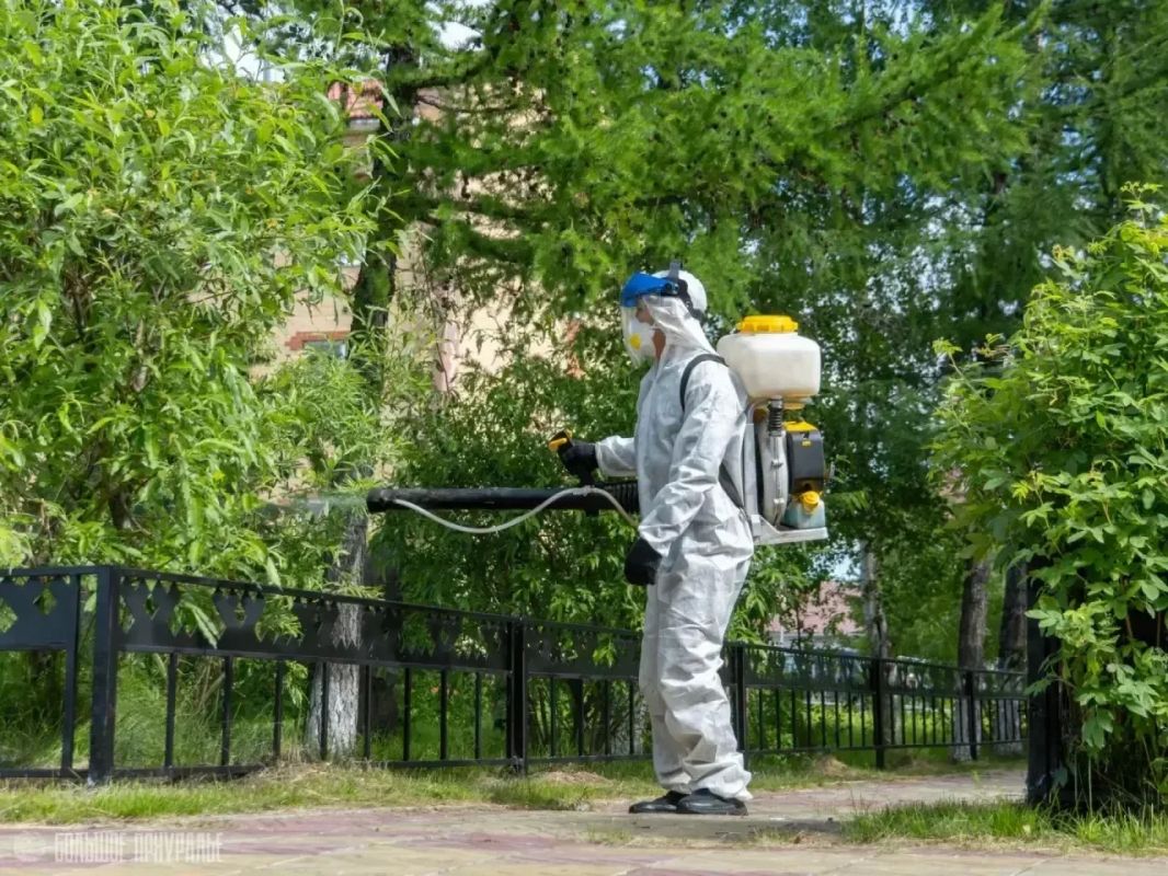 В Приуральском районе начали обработку общественных пространств от гнуса В Приуральском районе начали обработку общественных пространств от гнуса