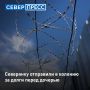 Жительницу Ноябрьска приговорили к лишению свободы за систематическую неуплату алиментов