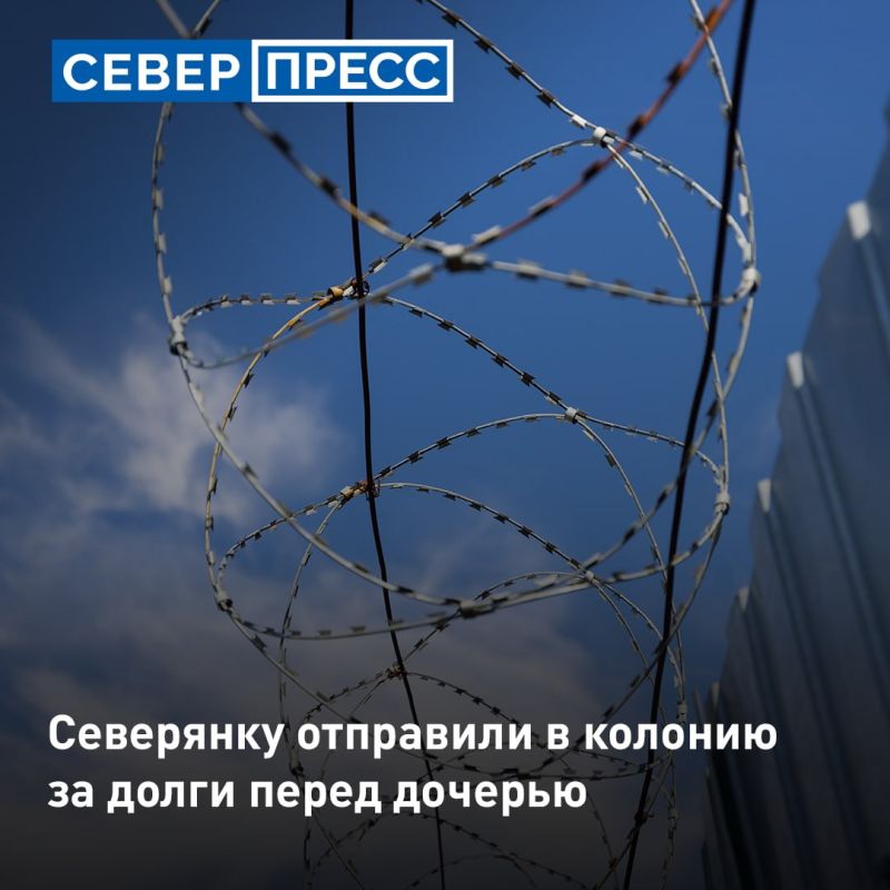 Жительницу Ноябрьска приговорили к лишению свободы за систематическую неуплату алиментов