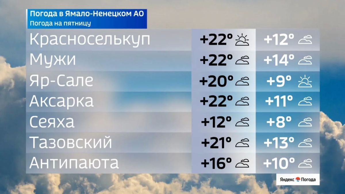 Идеальная погода для прогулок Идеальная погода для прогулок