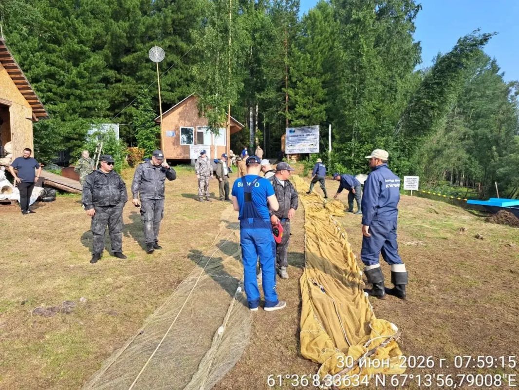Восстановление рыбных запасов: ещё более 87 миллионов мальков осваиваются в Оби Восстановление рыбных запасов: ещё более 87 миллионов мальков осваиваются в Оби