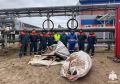 Спасатели Арктического комплексного аварийно-спасательного центра Главного управления МЧС России по Ямало-Ненецкому автономному округу провели масштабный субботник на территории своего центра