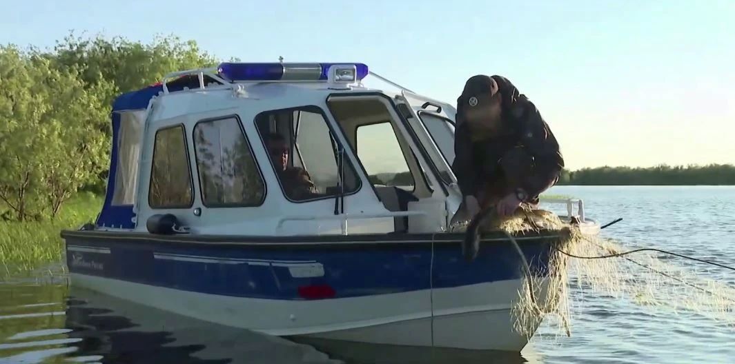Сами в кусты, а улики оставили Сами в кусты, а улики оставили