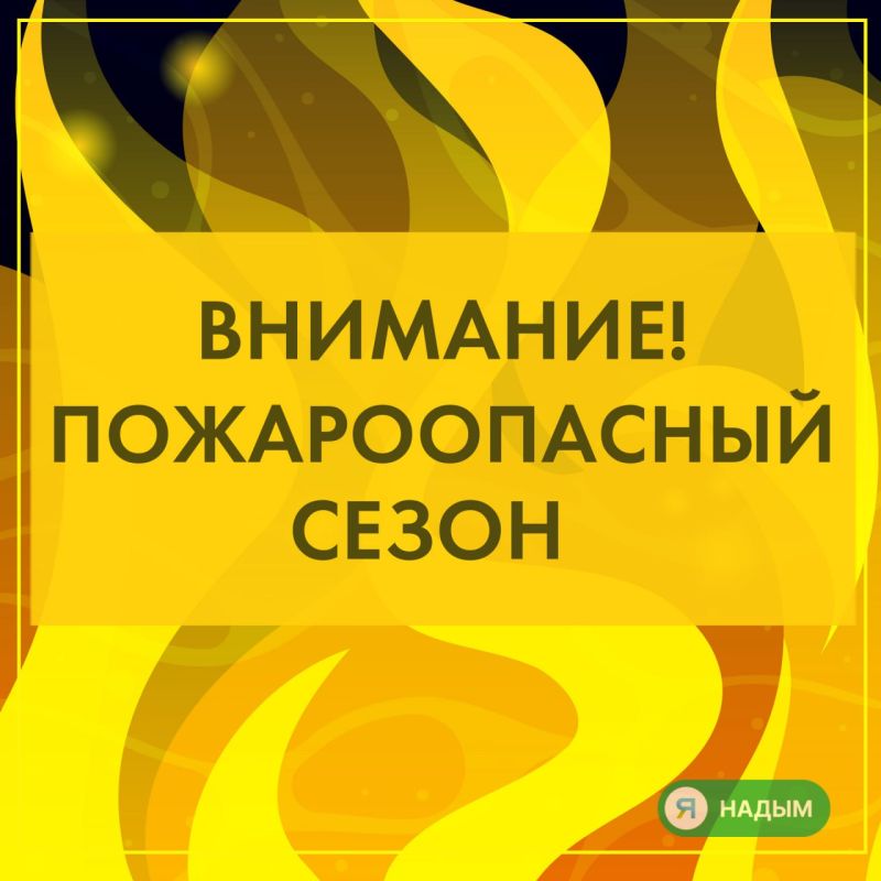 На Ямале действует пожароопасный сезон и введён режим ЧС регионального характера в лесах
