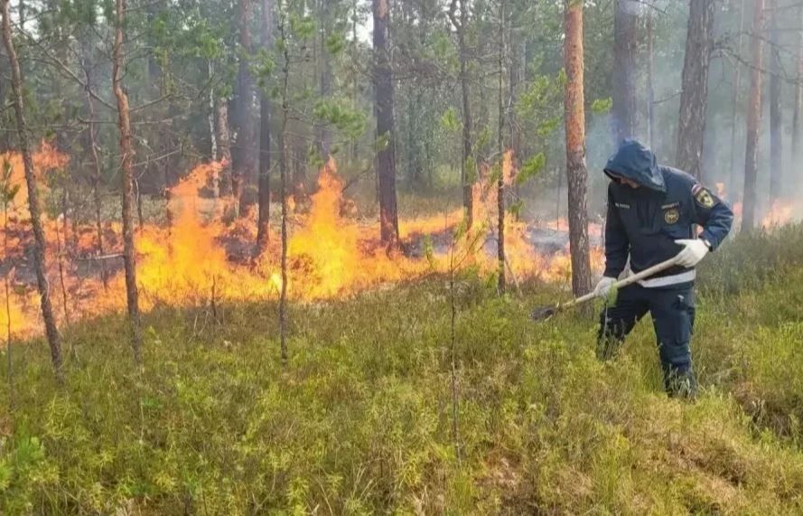 Спасатели МЧС защитили село Халясавэй от лесного пожара