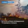 На Ямале по состоянию на утро 6 июля действуют 70 природных пожаров в Пуровском, Красноселькупском и Надымском районах, сообщили в окружных службах