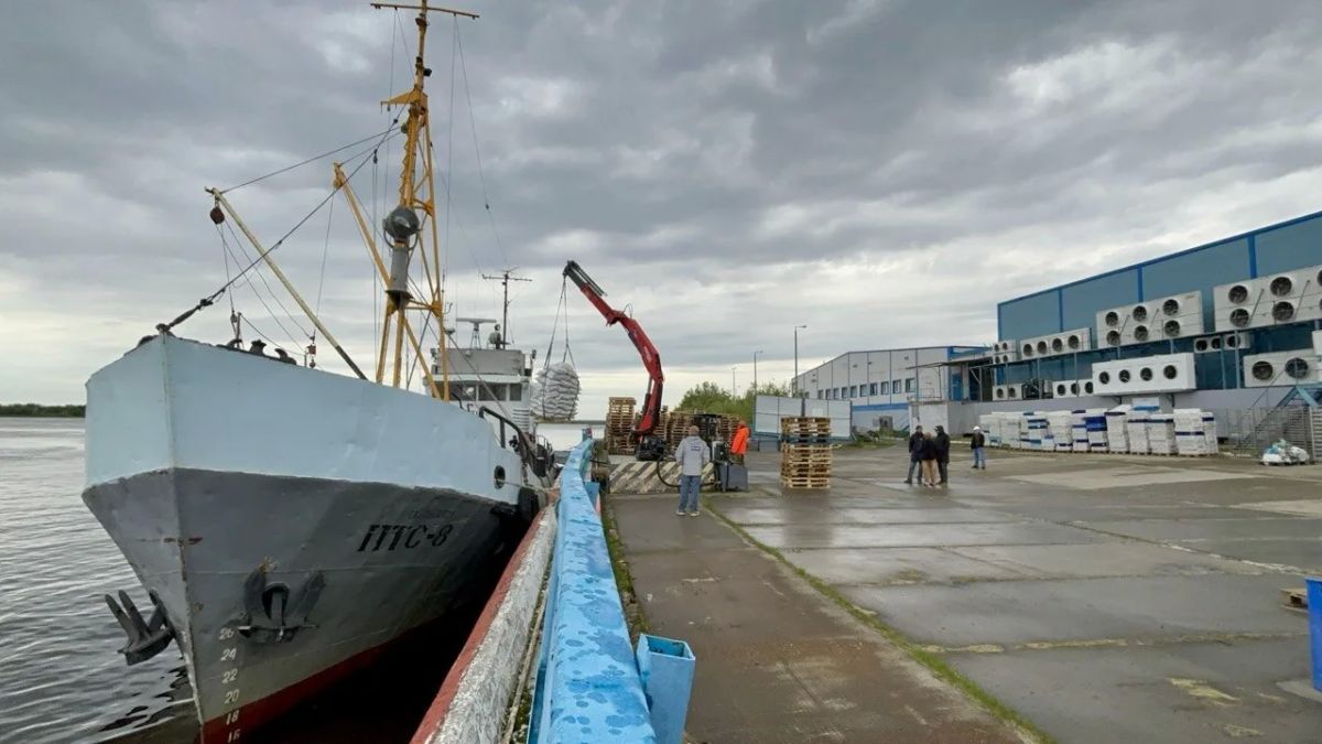 Летняя путина идёт полным ходом Летняя путина идёт полным ходом