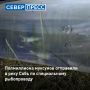 На Собском рыбоводном заводе стартовал сезон зарыбления водоёмов
