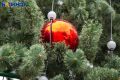 Традиции новогоднего стола: от простой селедки до изысканных тартаров