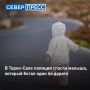 � �����-���� ����������� ������ ���������� ������, ������� ����� ���� �� ����������� �������� ��� ������������� ��������