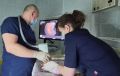 В Новом Уренгое врачи спасли зрение недоношенному малышу