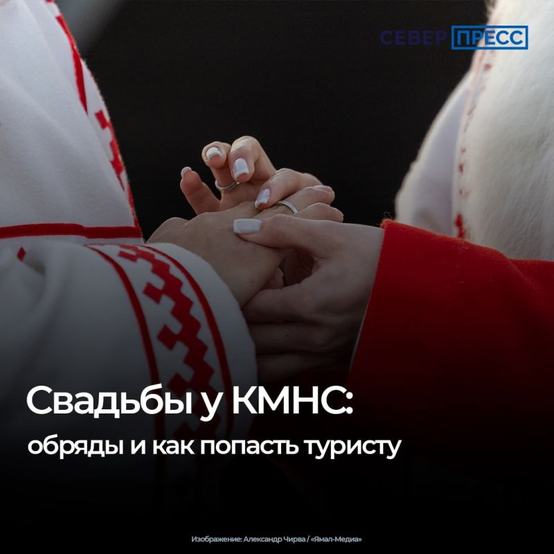 Свадебные обряды коренных народов Севера — ненцев и ханты — самобытны и неспешны