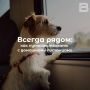 ������ �����: ��� �������������� � ��������� ���������