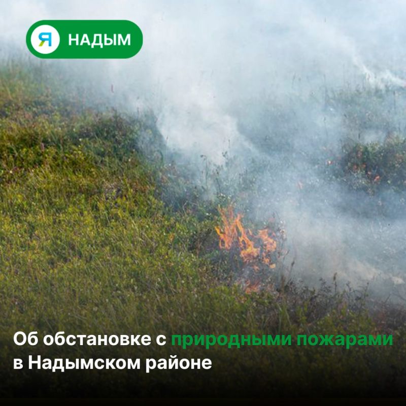 В Надымском районе действуют пять природных пожаров