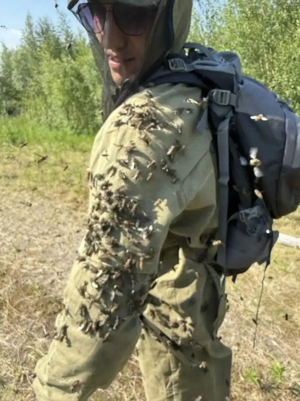 В заказнике «Полуйский» продолжается благоустройство В заказнике «Полуйский» продолжается благоустройство