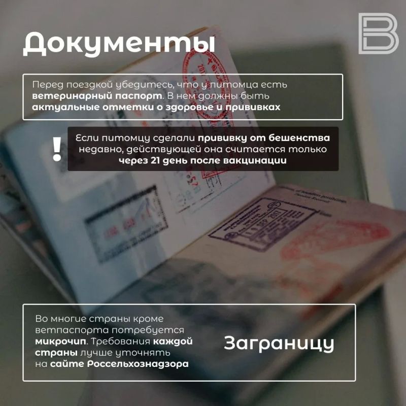 ������ �����: ��� �������������� � ��������� ���������