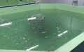 �� ������� ���������� ������ ������ ��������� ������ ������� � ������