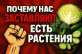 ������ �� ���������� �������� ��������: ������� �������� � �����������