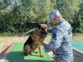 В Надыме ищут новых хозяев для трёх служебных собак-пенсионеров