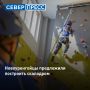 Жители Нового Уренгоя предложили построить в городе скалодром, создать экологическую тропу и провести фестиваль по поиску хозяев для бездомных животных