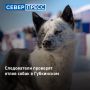 ����������� �������� ����������� ������ ����� � ����������