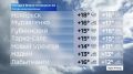 Макушка лета на Ямале: Петров день встречает теплом до +19°