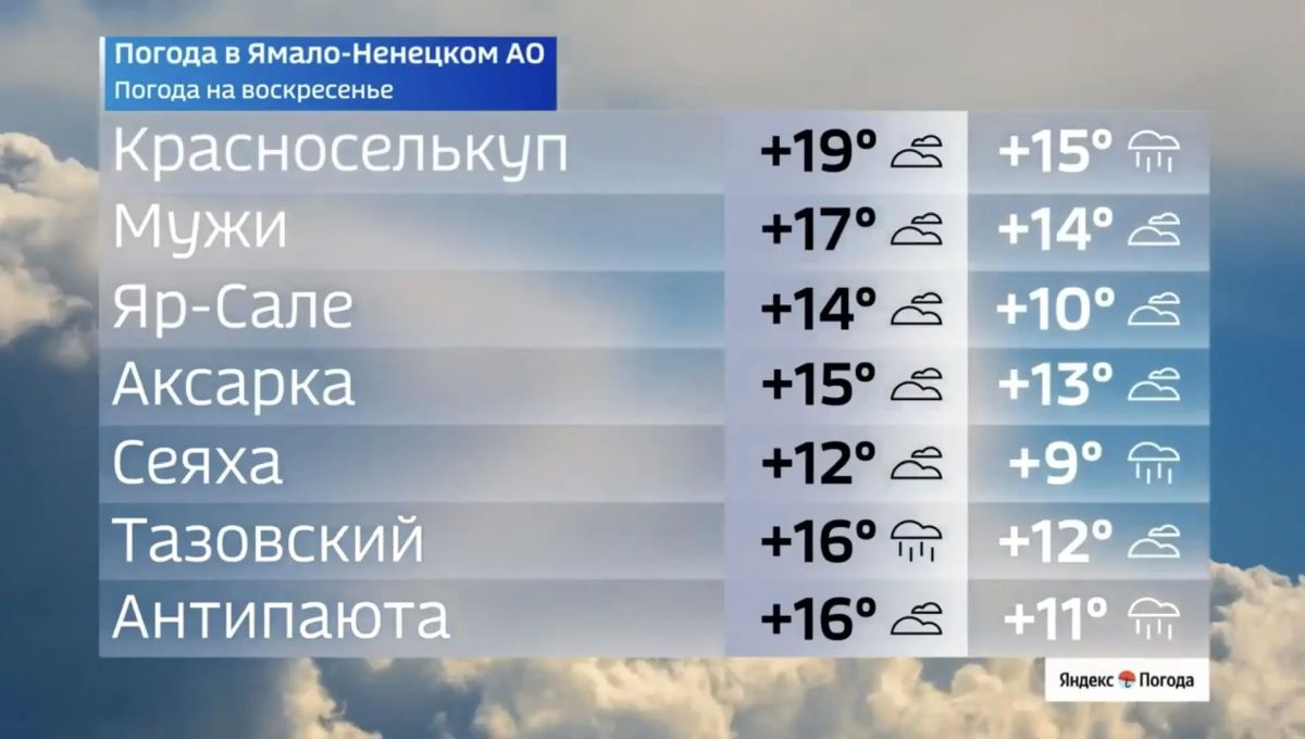 Макушка лета на Ямале: Петров день встречает теплом до +19° Макушка лета на Ямале: Петров день встречает теплом до +19°