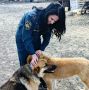 Сотрудники МЧС дарят заботу бездомным хвостикам