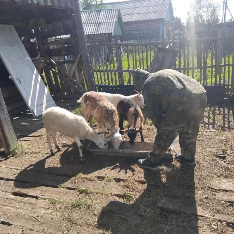 Ветеран СВО из Овгорта развивает семейную ферму Ветеран СВО из Овгорта развивает семейную ферму