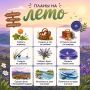 Северное лето нужно проживать на максимум