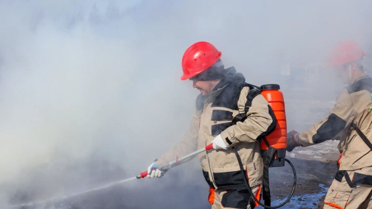 На Ямале потушили почти все лесные пожары