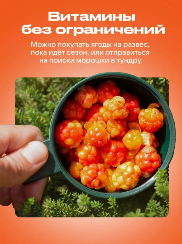 Лето в Салехарде перешагнуло за экватор Лето в Салехарде перешагнуло за экватор