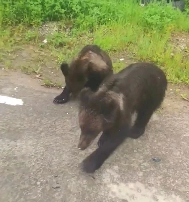 Пока вы спали: что произошло на Ямале, в России и мире Пока вы спали: что произошло на Ямале, в России и мире