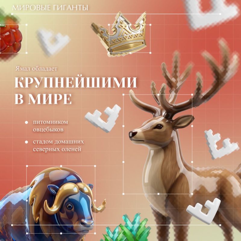 Ямал – гораздо больше, чем просто точка на карте Арктики! Ямал – гораздо больше, чем просто точка на карте Арктики!